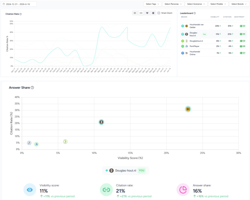 douglas-hout case - ai visibility dashboard