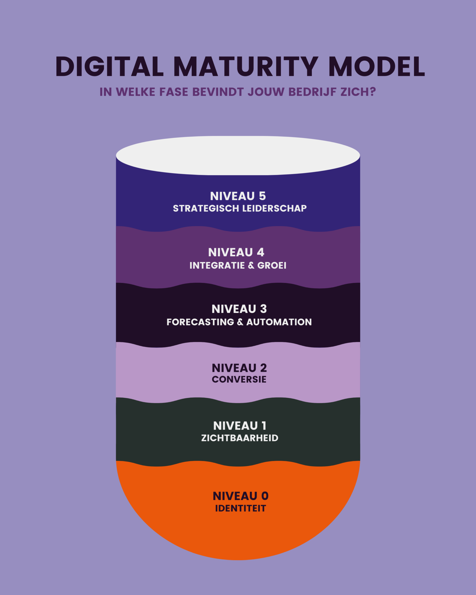 Digital maturity model: Van digitale volwassenheid naar strategisch ...